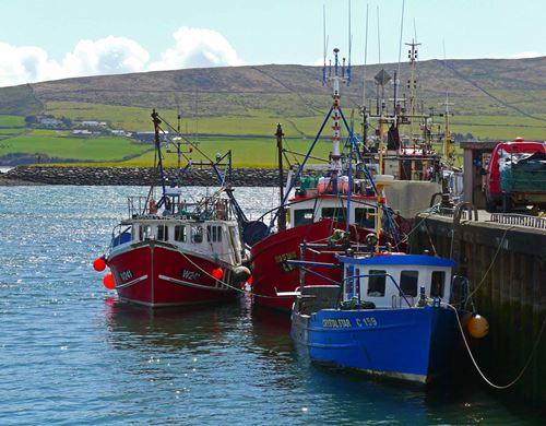 Kleiner Hafen an der Westküste